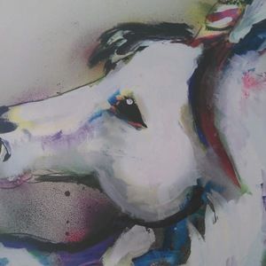 Meet your Posher, Diana